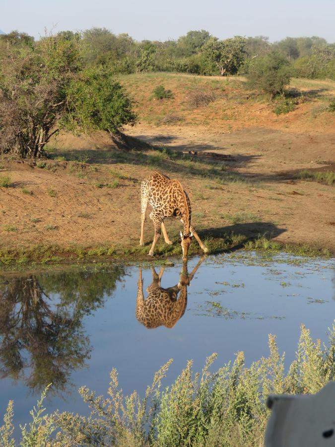 Sausage Tree Safari Camp Заповідник Балуле Екстер'єр фото